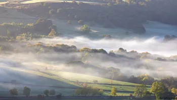 Misty fields.jpg